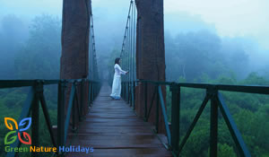 Wayanad Tour Packages