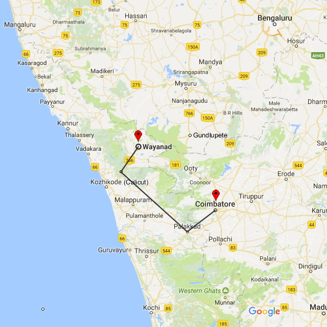 Wayanad Tour Packages from Coimbatore (Kovai)